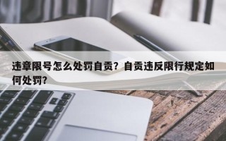 违章限号怎么处罚自贡？自贡违反限行规定如何处罚？