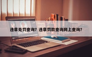 违章处罚查询？违章罚款查询网上查询？