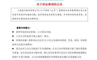 诉讼涉及借款25.8亿元！姚振华、宝能被起诉！