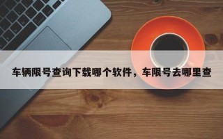 车辆限号查询下载哪个软件，车限号去哪里查