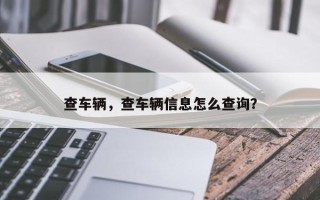 查车辆，查车辆信息怎么查询？