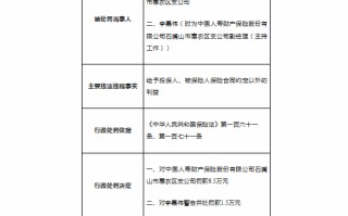 国寿财险石嘴山市惠农区支公司被罚6.5万元：因给予投保人合同约定以外利益