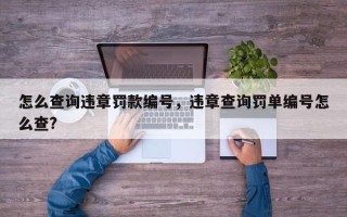 怎么查询违章罚款编号，违章查询罚单编号怎么查?