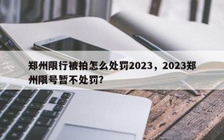 郑州限行被拍怎么处罚2023，2023郑州限号暂不处罚？