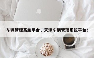 车辆管理系统平台，天津车辆管理系统平台！