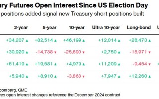美债看跌头寸持续上升 美国10月CPI数据成关注焦点