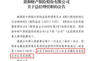 “国寿系”刘东掌舵 鼎和财险能否转危为安？