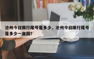 沧州今日限行尾号是多少，沧州今日限行尾号是多少一亩园？