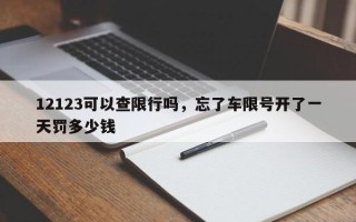 12123可以查限行吗，忘了车限号开了一天罚多少钱