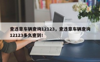 查违章车辆查询12123，查违章车辆查询12123多久查到！