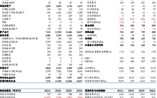 【东吴电新】威迈斯2024年三季报点评：海外占比持续提升，电驱业务开启放量