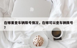 在哪里查车辆限号情况，在哪可以查车辆限号？