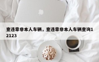 查违章非本人车辆，查违章非本人车辆查询12123