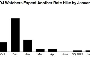 经济学家调查：逾半数观察人士预计日本央行下次加息在12月