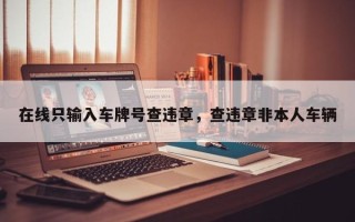 在线只输入车牌号查违章，查违章非本人车辆