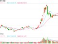 快讯：恒指低开0.88% 科指跌1.41%汽车股普遍下挫