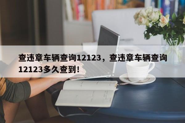 查违章车辆查询12123，查违章车辆查询12123多久查到！-第1张图片-云韵生活网