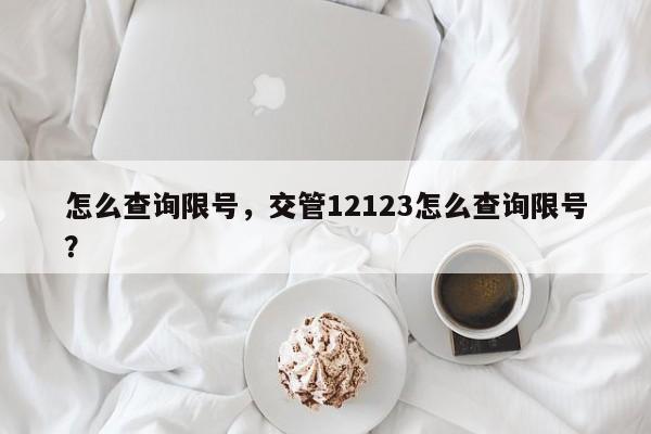 怎么查询限号，交管12123怎么查询限号？-第1张图片-云韵生活网