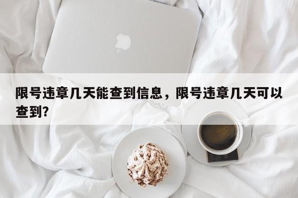 限号违章几天能查到信息，限号违章几天可以查到？-第1张图片-云韵生活网