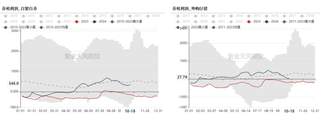 云评论 | 玉米：一点寒芒先到-第7张图片-云韵生活网