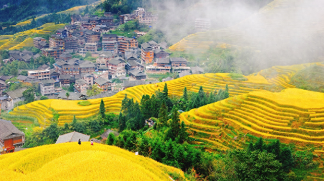 “双十一”来了｜首批囤旅游的人已出发，降温后秋冬季老年游升温-第1张图片-云韵生活网