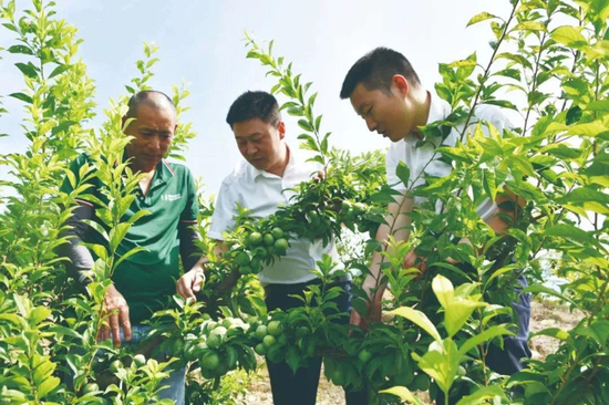 全力推动！工商银行推进支持小微企业融资协调工作机制落地-第4张图片-云韵生活网