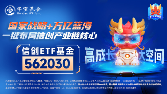 超百亿主力资金狂涌！信创ETF基金（562030）劲涨1.25%，天融信、浪潮软件涨停，机构：重点关注三方面催化-第5张图片-云韵生活网