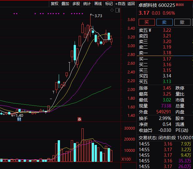 连续5年造假！这只A股，面临强制退市！-第3张图片-云韵生活网