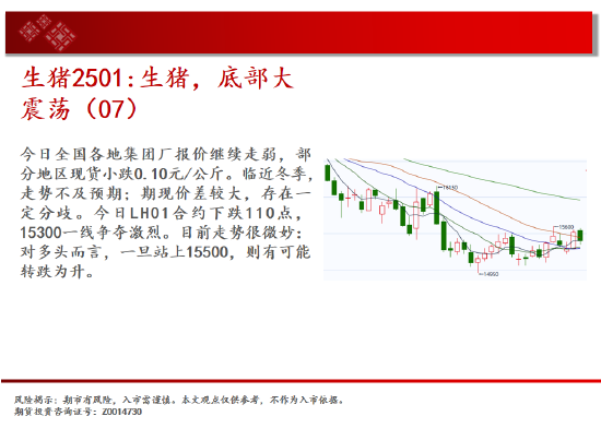 中天期货:生猪底部大震荡 橡胶站上18000-第8张图片-云韵生活网