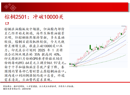 中天期货:生猪底部大震荡 橡胶站上18000-第13张图片-云韵生活网