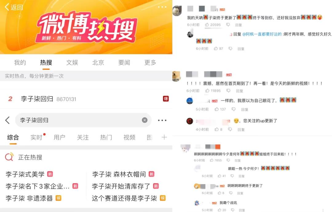 李子柒，一夜涨粉380万-第1张图片-云韵生活网