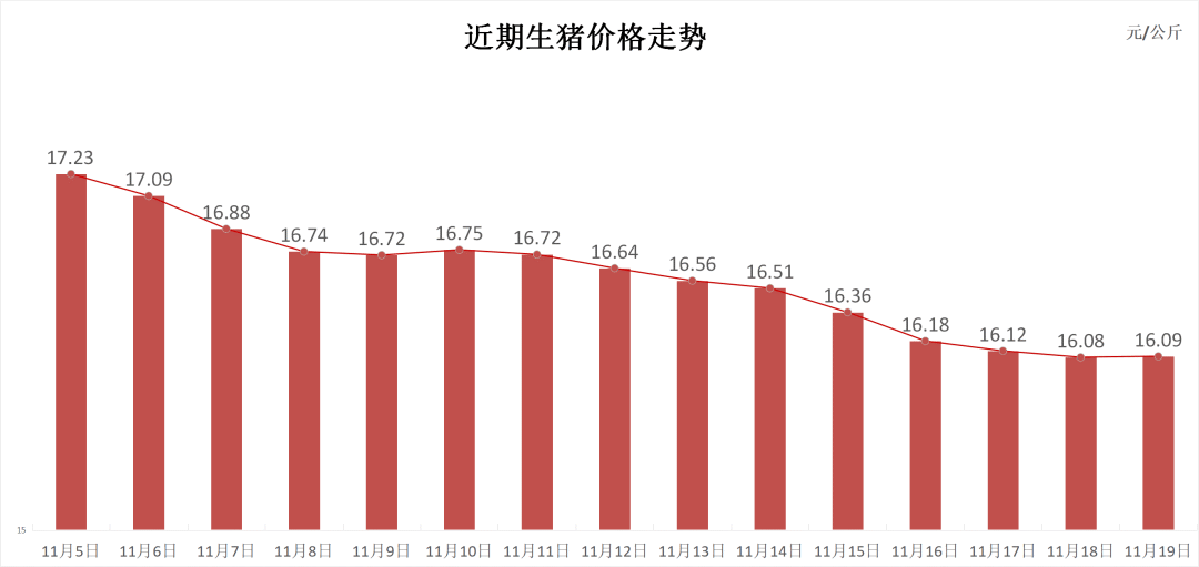 每天
猪讯11.19-第3张图片-云韵生活网