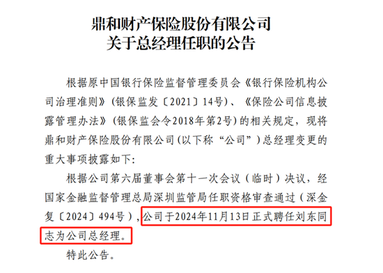 “国寿系”刘东掌舵 鼎和财险能否转危为安？-第1张图片-云韵生活网