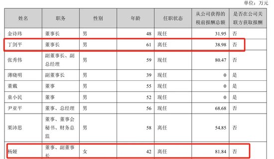 美女总经理带头财务造假,海伦哲索赔2.48亿-第3张图片-云韵生活网