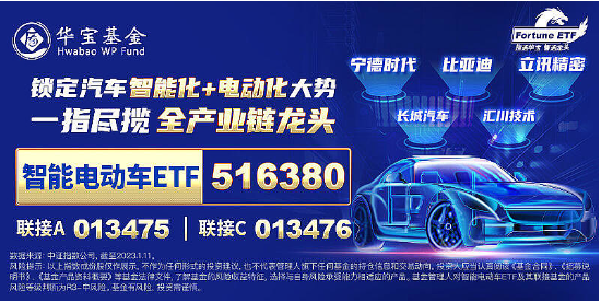 重磅！欧盟或取消电动汽车关税？智能电动车ETF（516380）盘中涨逾2.5%，机构：板块面临三大特征，五个变化-第5张图片-云韵生活网