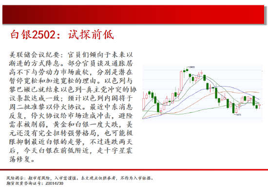中天期货:白银试探前低 生猪底部大震荡-第5张图片-云韵生活网